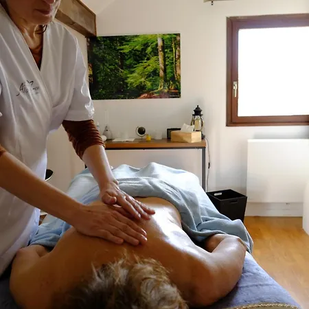 Θέρετρο Alpizen Centre De Ressourcement - Adults Recommended *